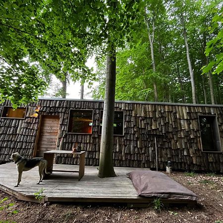 Baumhaushotel Robins Nest Witzenhausen Buitenkant foto