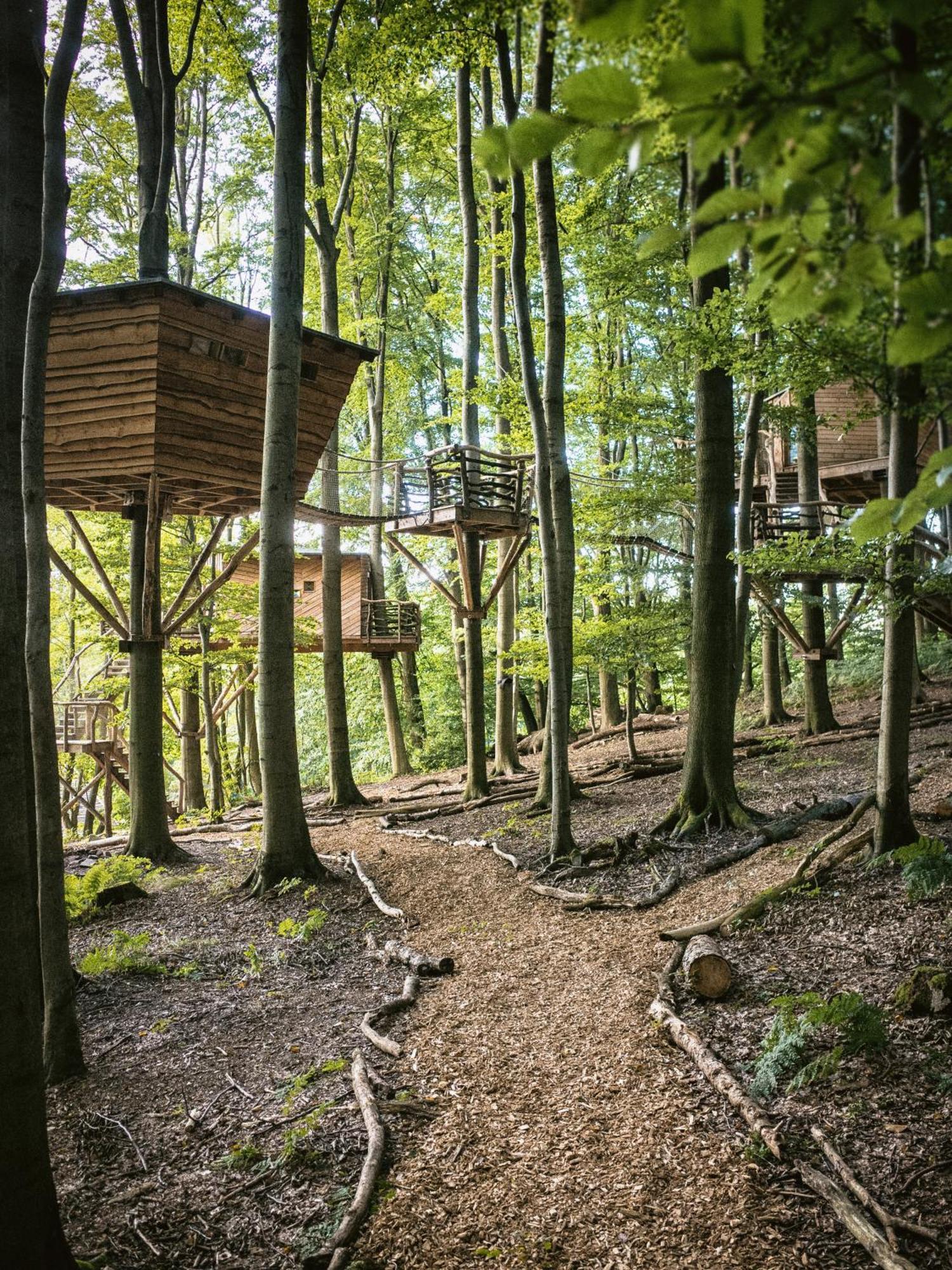 Baumhaushotel Robins Nest Witzenhausen Buitenkant foto